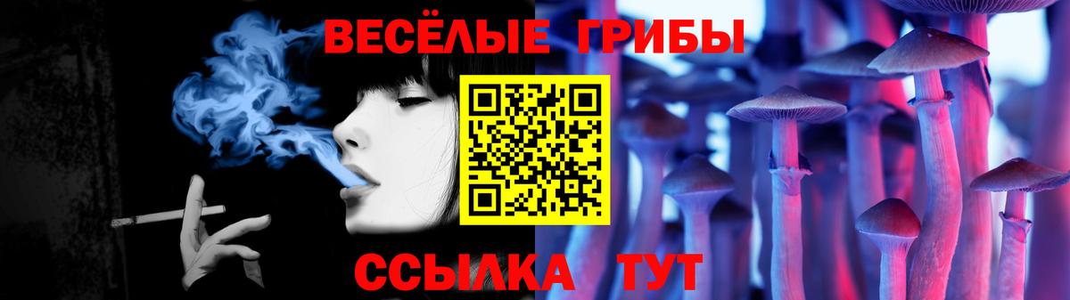 Псилоцибиновые грибы прущие грибы  Вход с VPN  Красногорск 